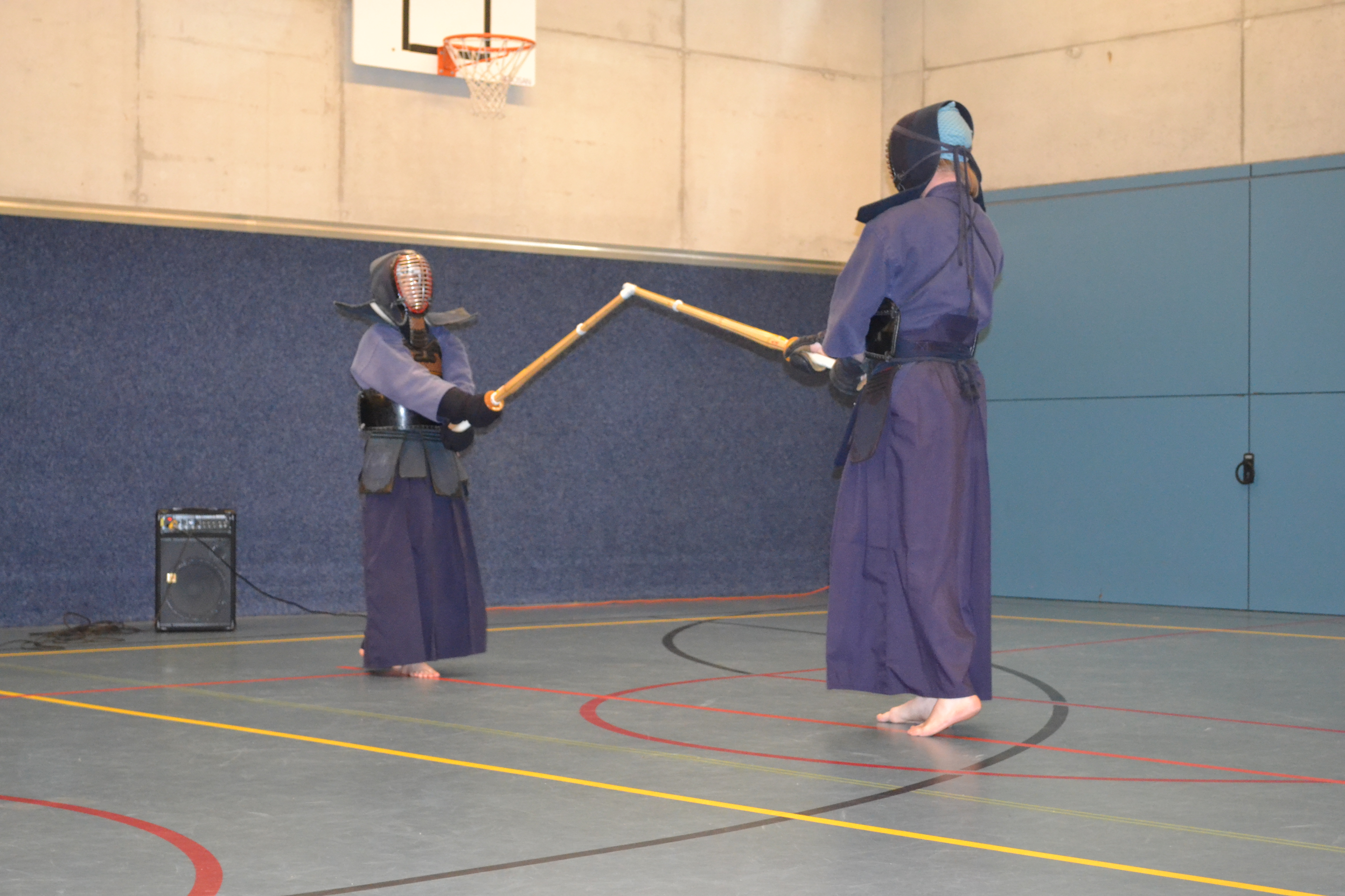 Kendo training